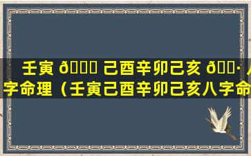 壬寅 🐒 己酉辛卯己亥 🕷 八字命理（壬寅己酉辛卯己亥八字命理解析）